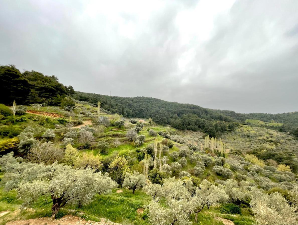فندق Ephesus Retreat إزمير المظهر الخارجي الصورة