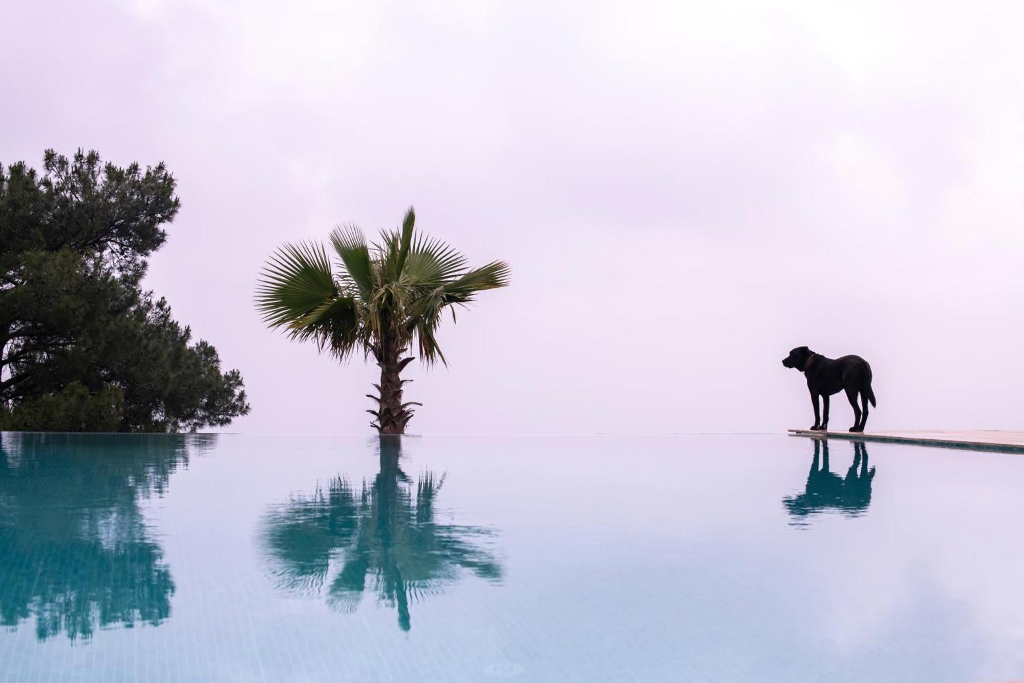 فندق Ephesus Retreat إزمير المظهر الخارجي الصورة