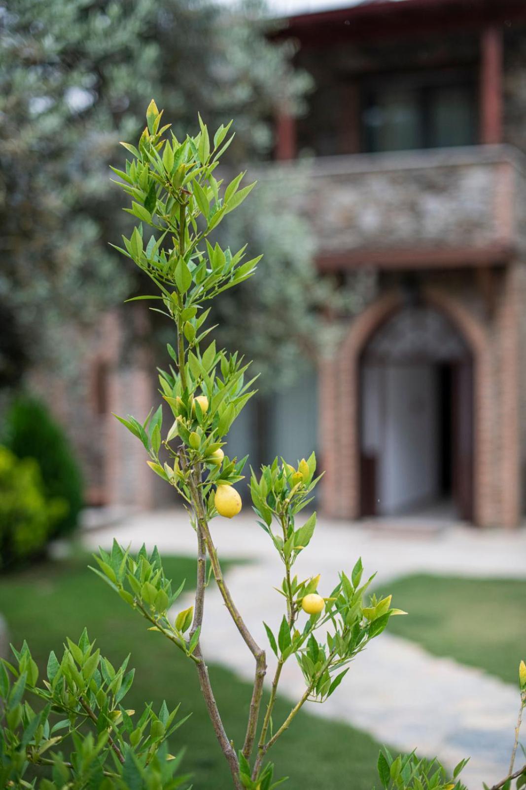 فندق Ephesus Retreat إزمير المظهر الخارجي الصورة